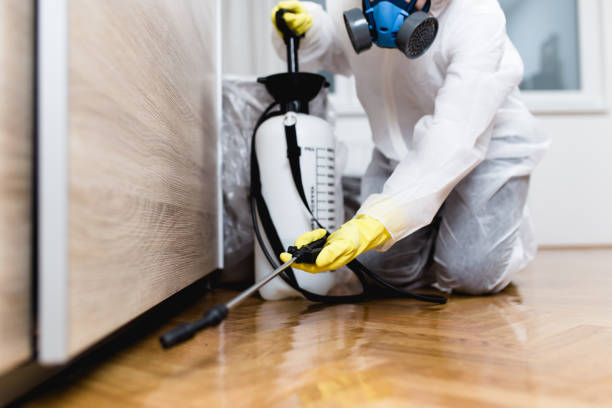 Best Wildlife Control Services  in Compo, CT