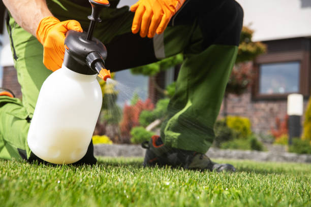 Pest Control Cost in Compo, CT