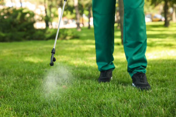 Best Affordable Pest Control Services  in Compo, CT