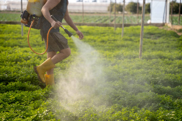 Best Mosquito Control Services  in Compo, CT