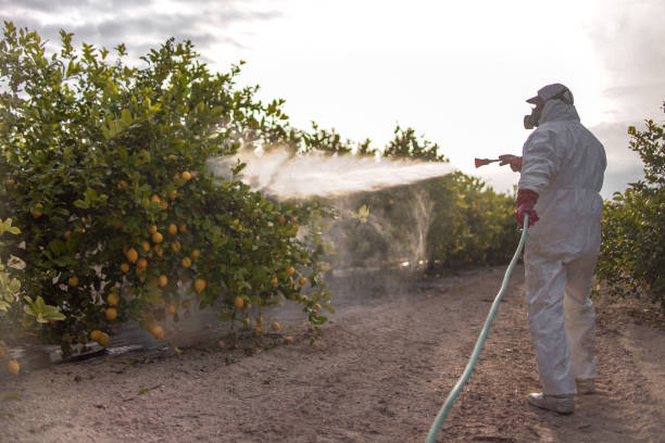 Best Residential Pest Control  in Compo, CT