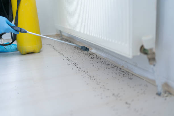 Best Best Pest Control Companies  in Compo, CT