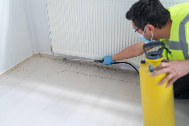 Best Pest Control Cost  in Compo, CT