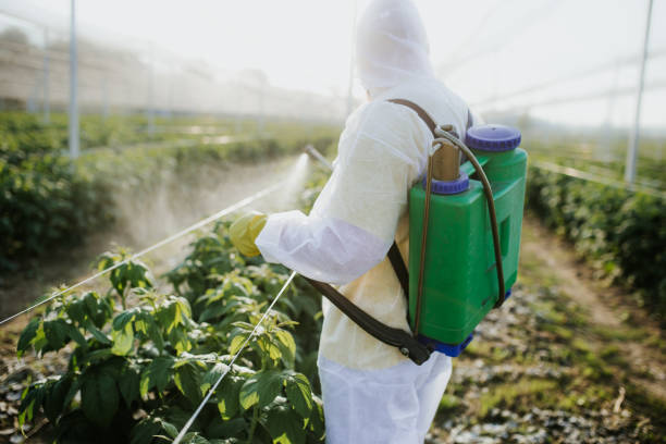 Pest Control Cost in Compo, CT